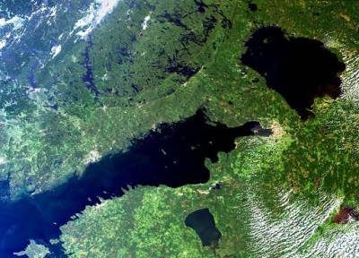 Чем опасны воды Финского залива