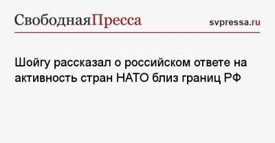 Шойгу рассказал о российском ответе на активность стран НАТО близ границ РФ