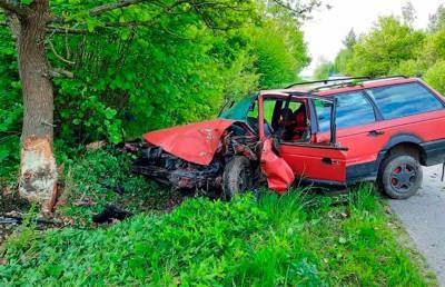Легковушка врезалась в дерево в Полоцком районе – водитель погибла