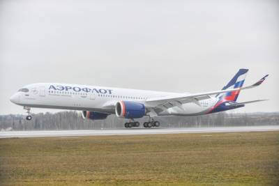 СМИ: Пассажирский Airbus A-321 экстренно сел в Шереметьеве с запахом гари на борту