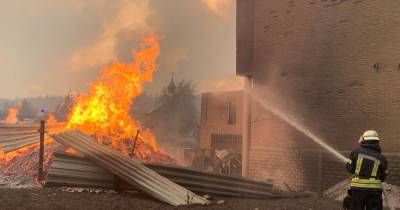 ВСК назвала причины масштабных пожаров на Луганщине в 2020 году