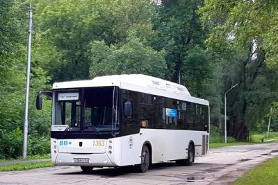 В Рязани будет курсировать автобус до Орехового озера