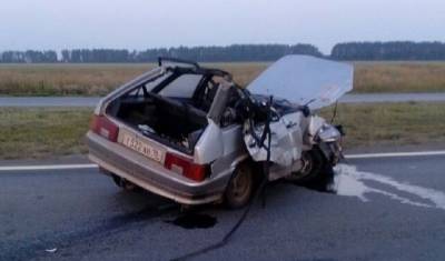 Водитель под Саратовом погиб при столкновении авто с лосем