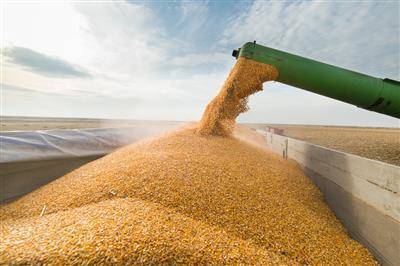 РФ после введения плавающей пошлины может удвоить экспорт пшеницы в июне - РЗС