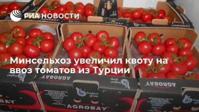 Минсельхоз увеличил квоту на ввоз томатов из Турции