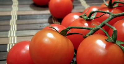 Россия увеличила квоту на ввоз помидоров из Турции до 300 тысяч тонн