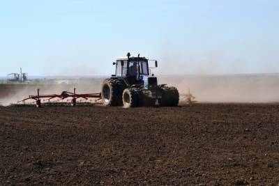Посев яровых в Курской области выполнен на 101%
