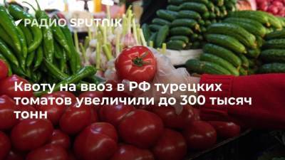 Квоту на ввоз в РФ турецких томатов увеличили до 300 тысяч тонн