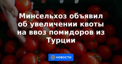 Минсельхоз объявил об увеличении квоты на ввоз помидоров из Турции