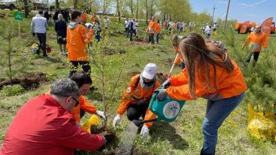 В Иркутске волонтеры высадили 360 деревьев в рамках экоакции En+ Group