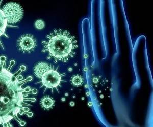 Ученые выяснили, что иммунитет к коронавирусу может сохраняться годами и противостоять новым штаммам