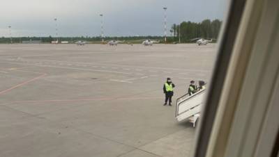 В Пулково остановили самолёт с оппозиционером Пивоваровым