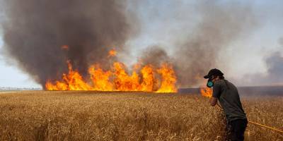 Пожарное управление: пожар в приграничной зоне, видимо, вызван шарами ХАМАСа