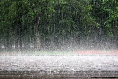Лето в Ростовской области начнется с проливных дождей