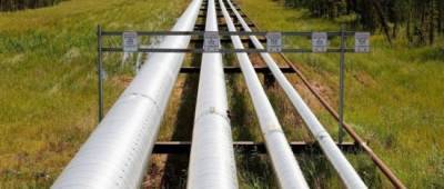 Энерготаможня не дает добро «Нафтогазу» на использование «трубы Медведчука» — ЕП