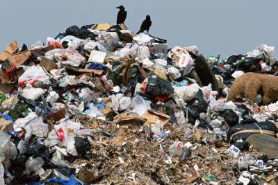 За месячник чистоты из Улан-Удэ вывезли рекордное количество мусора