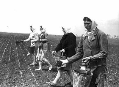 «Трудодни»: странная зарплата советских колхозников