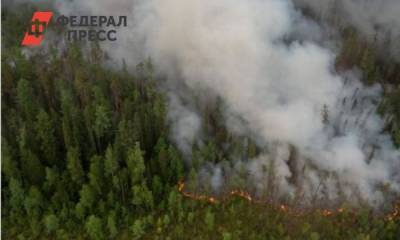 Новосибирской области в майские каникулы грозят лесные пожары