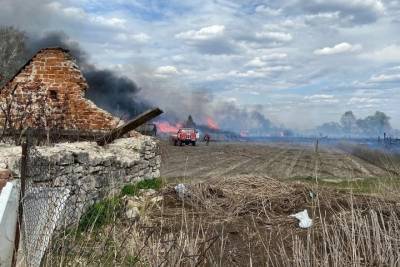 В Рязанской области из-за возгорания сухой травы сгорели 10 домов и хозпостроек
