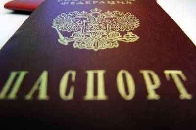 В МВД рассказали, за что лишают российского гражданства