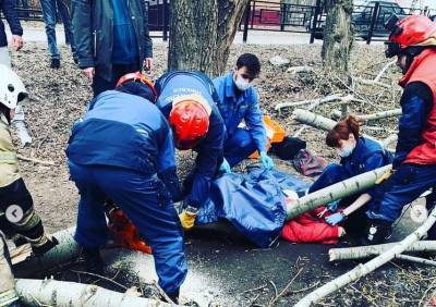В Удмуртии умерла женщина, после того как на нее упало дерево