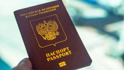 За год 280 иностранцев лишились российского гражданства