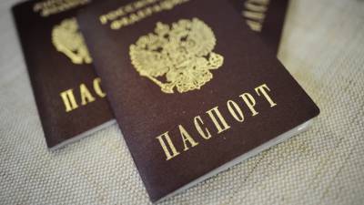 МВД: около 280 человек лишились российского гражданства с 2020 года