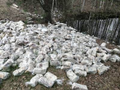 Свалку хлеба нашли в лесу в Нижегородской области