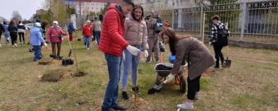 В Дзержинске высадили 60 берез в рамках акции «Сад Памяти»