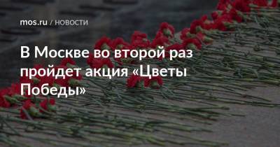 В Москве во второй раз пройдет акция «Цветы Победы»