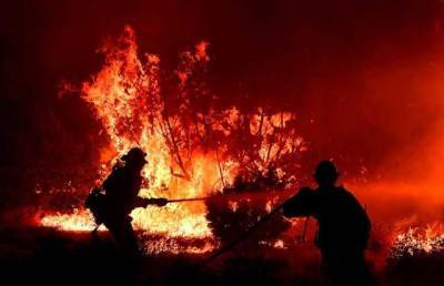 Пожар на пилораме в Харьковской области привел к трагедии