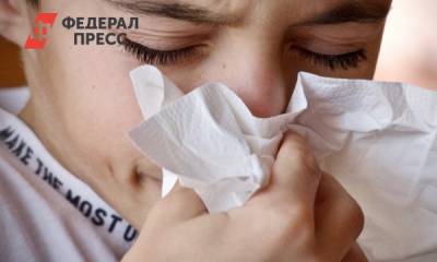 Россиянам рассказали, как бороться с сезонной аллергией