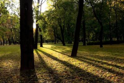 Закрытые из-за непогоды петербургские парки снова открыты