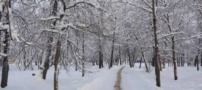 Активный циклон несет в Карелию снег