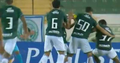 Махач прямо на поле: в Бразилии футболисты из одной команды устроили жесткую драку (видео)