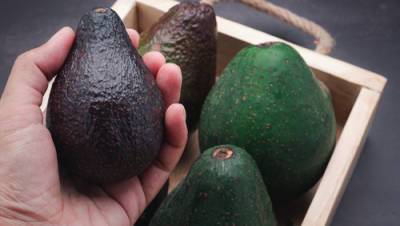 На рынке Нетании люди подрались плодами авокадо