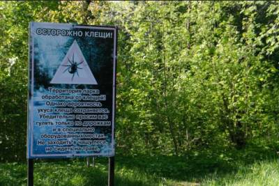 В Ижевске от клещей обработали 4 кладбища