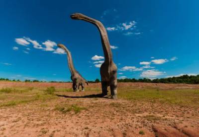 На востоке Китая археологи обнаружили «танцплощадку динозавров» с сотнями следов их лап