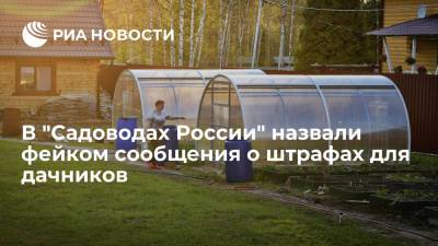 В "Садоводах России" назвали фейком сообщения о штрафах для дачников