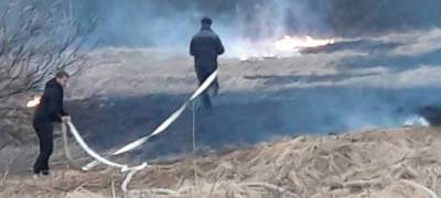 Жители Карелии до приезда пожарных спасли деревню от огня