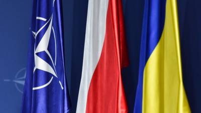 Украинцы предупредили Зеленского об опасности дружбы с Польшей ради ЕС