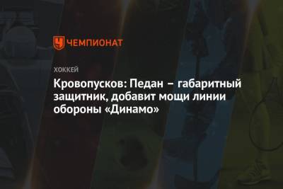 Кровопусков: Педан – габаритный защитник, добавит мощи линии обороны «Динамо»