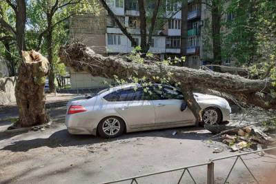 В центре Донецка на машину упало дерево