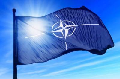 Более 10 стран присоединились к стартовавшим военным учениям НАТО Defender Europe 21