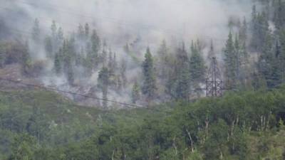Пожар охватил три гектара леса в нацпарке под Саратовом