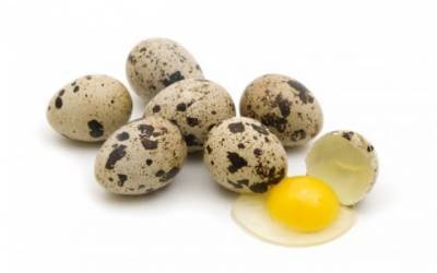 Україна увійшла в ТОП найбільших виробників перепелиних яєць у Європі