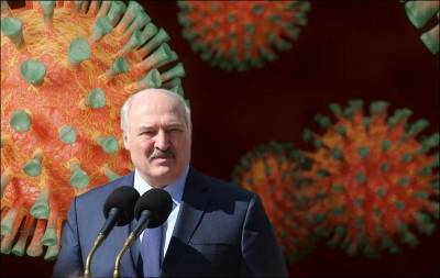 ЕС и США помогают Беларуси бороться с ковидом, а Лукашенко назвал их мерзавцами