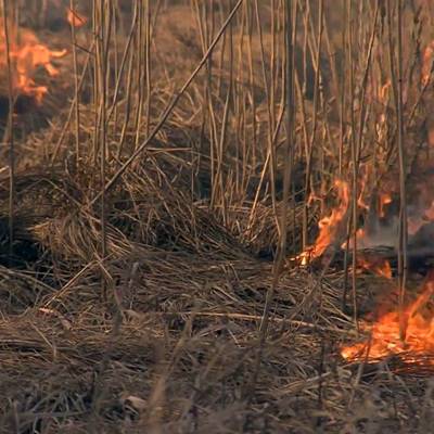 В Самарской области загорелись 10 дачных строений и 2 гектара сухой травы