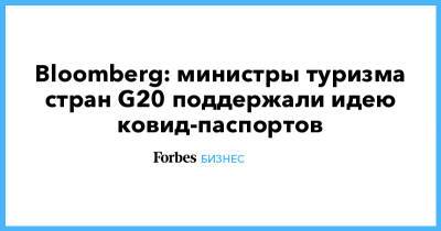 Bloomberg: министры туризма стран G20 поддержали идею ковид-паспортов
