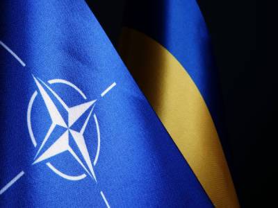 Саакашвили: Вступит ли Украина в НАТО, имея территориальные конфликты? Если будет политическое решение Вашингтона – ее примут